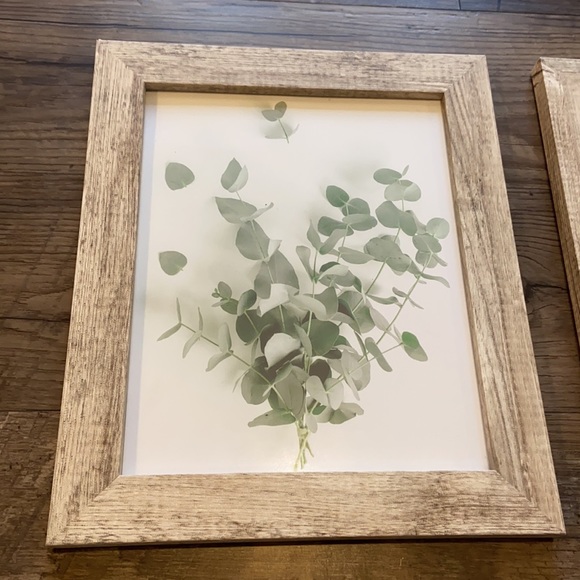 Leaf pictures in frames bundle - Picture 2 of 7